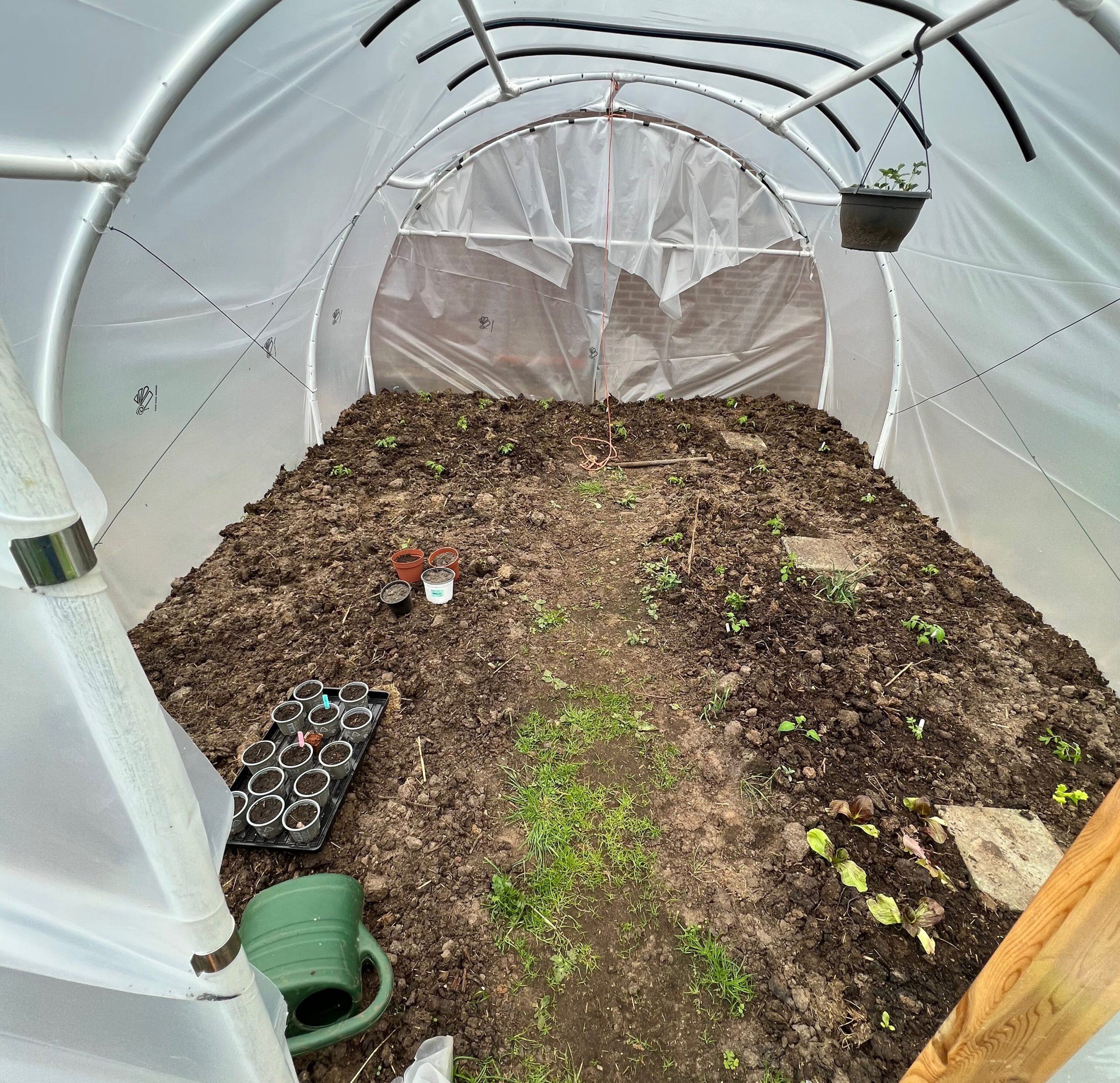Moestuinkas hergebruiken oud trampolineframe