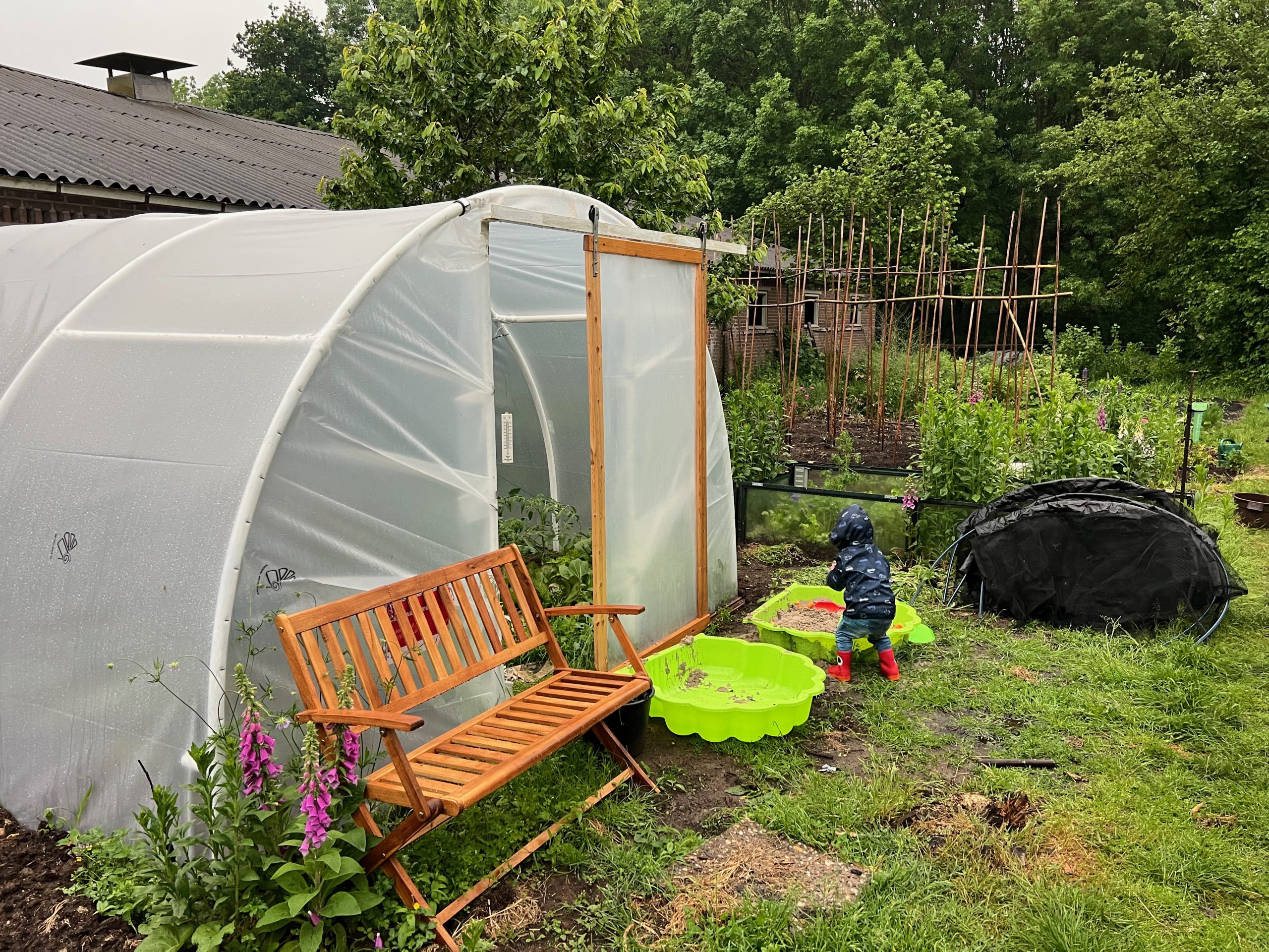 Goedkope folietunnel zelf maken van oud trampolineframe in moestuin