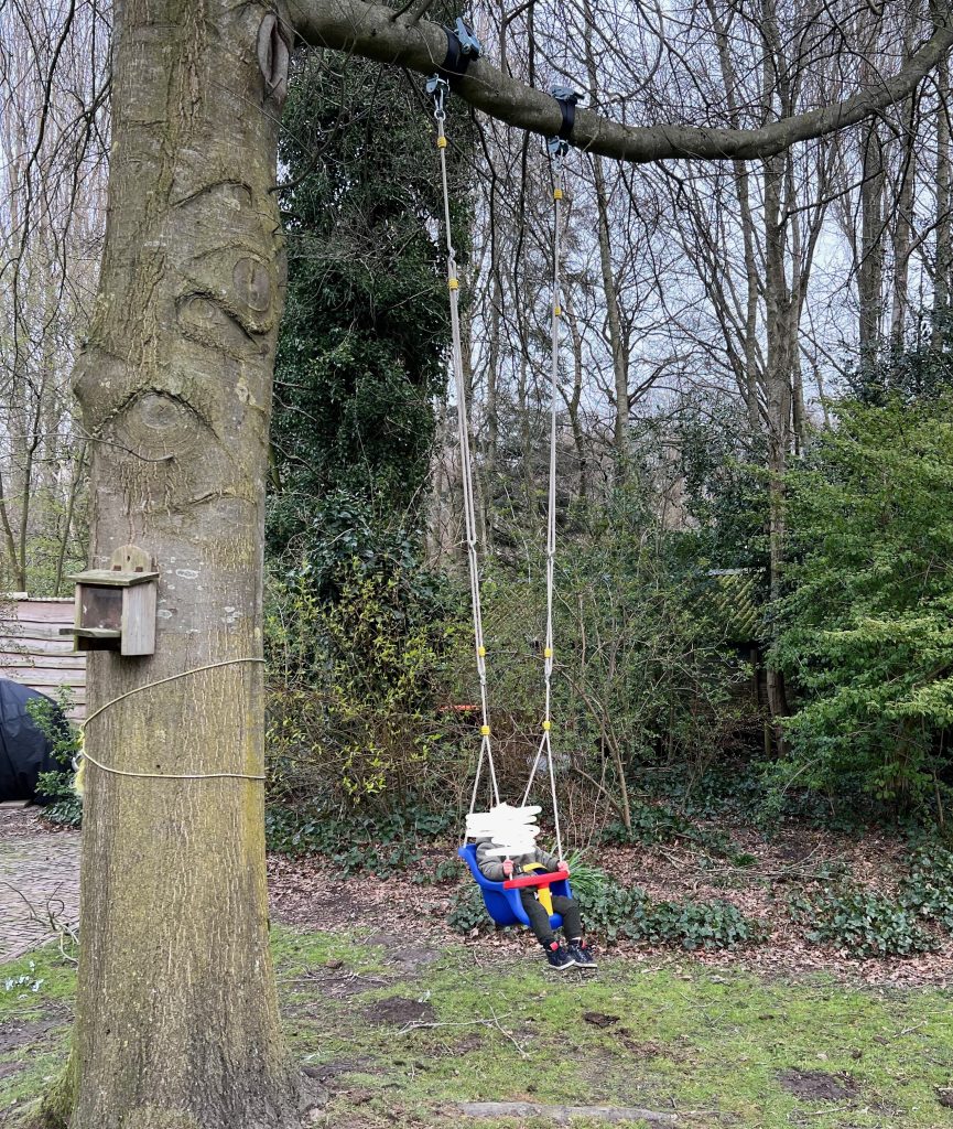 schommel aan tak van boom
